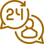 icon support